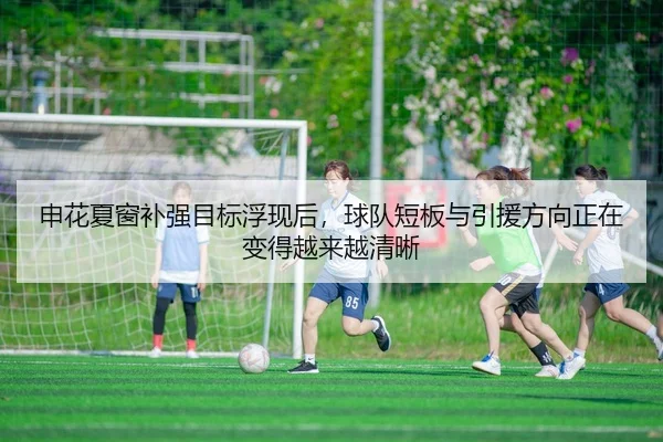 申花夏窗补强目标浮现后，球队短板与引援方向正在变得越来越清晰 | kaiyun